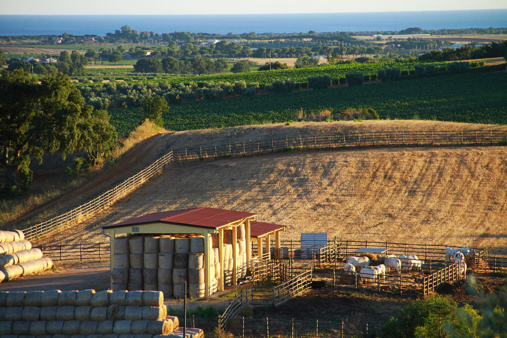קפאלביו Agriturismo San Mauro מראה חיצוני תמונה